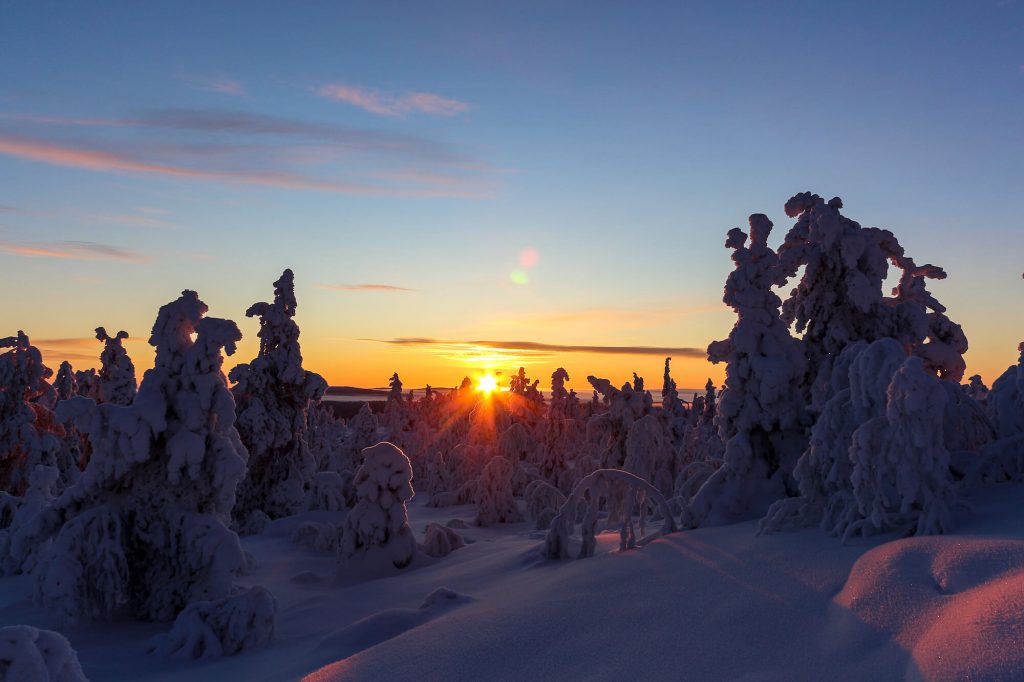 Lappland Sonne © Anja Degiampietro